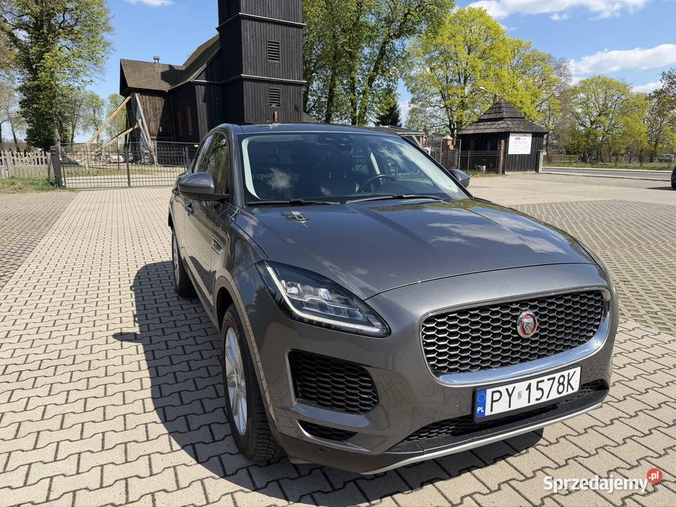 Piękny Jaguar E Pace wielkopolskie Śrem