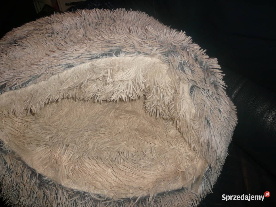 Legowisko małego psakota buda futrzana dolnośląskie Wrocław