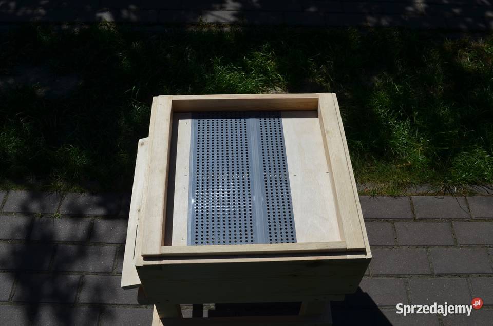 Ule wielkopolskie Chełm