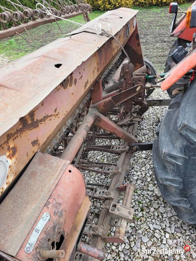 Siewnik poznaniak mazowieckie Wiskitki