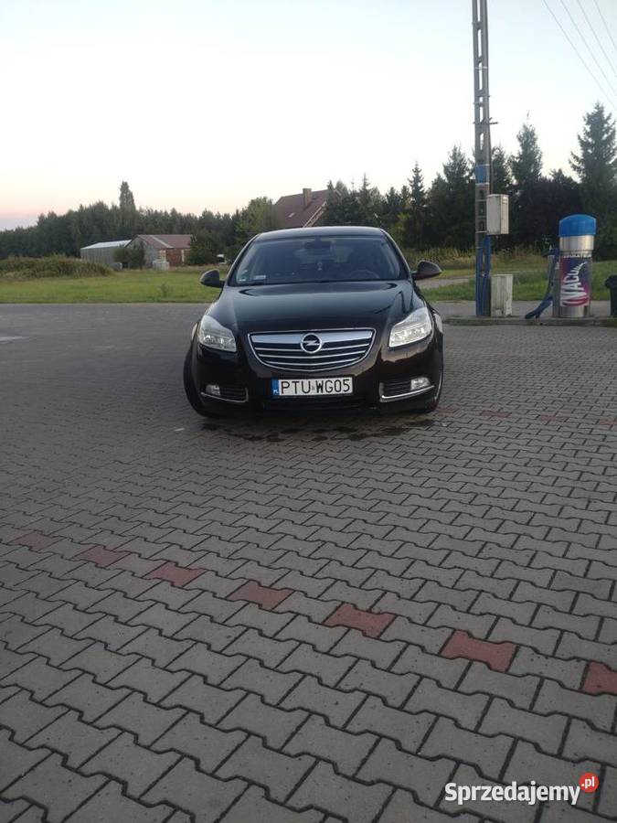 Opel Insignia 20cdti 160 Motoryzacja Konin