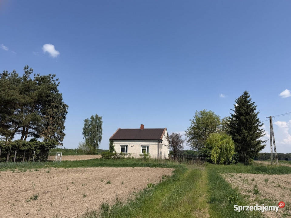 Siedlisko z lasem i łąką Zawady gm Kampinos 13zł/m2