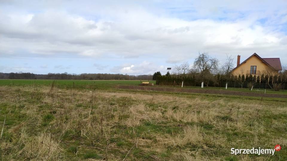 działka Przybiernówko