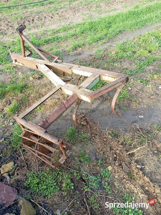 Piernik sadowniczy kultywator Grójec