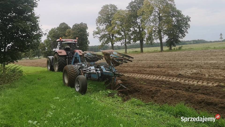 Pług obrotowy rabe 7 skib lubuskie Niedoradz