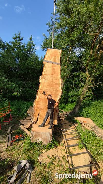 Drewno ozdobne orzech włoski topola wiąz Plastry podkarpackie sprzedam