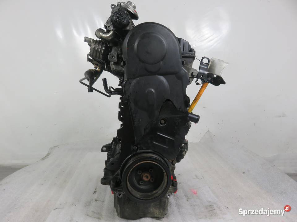 SILNIK VW GOLF V 19 TDI 105 BKC 038130073AG