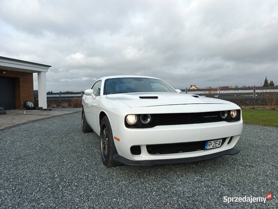 Dodge Challenger SXT 36 2019 Rok produkcji 2019 dolnośląskie
