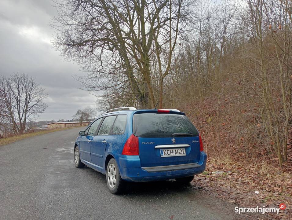 Peugeot 307 16 Benzyna 110 16V Kombi 2007r