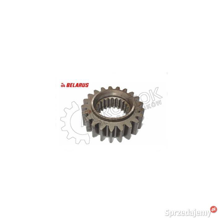 Koło zębate z21 mtz 1025 1221 Parczew