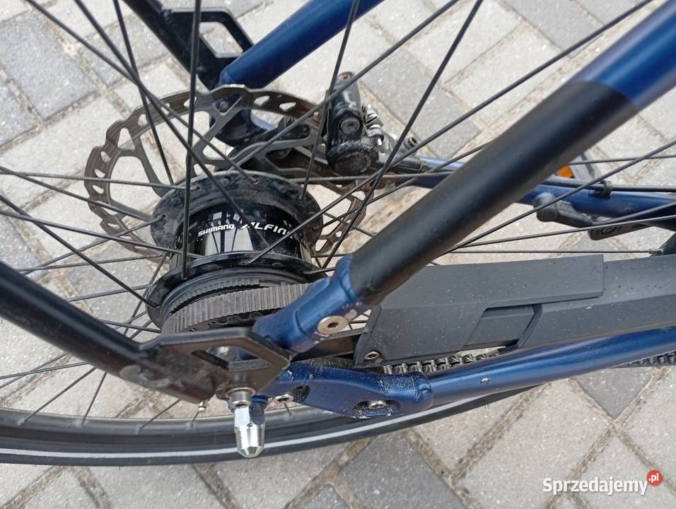 Rower elektryczny Dutch ID Infinity Cholandia Lublin