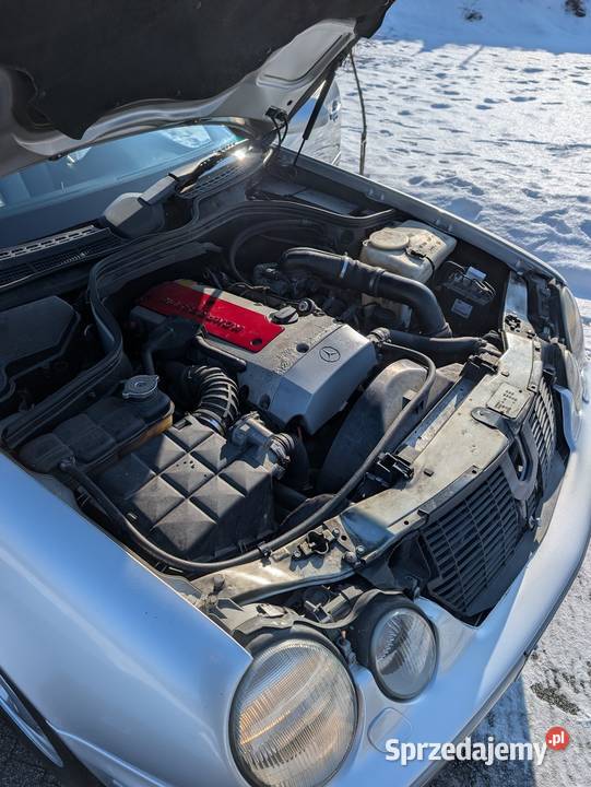 Mercedes Benz W208 CLK 230 KOMPRESSOR Niedźwiedź sprzedam
