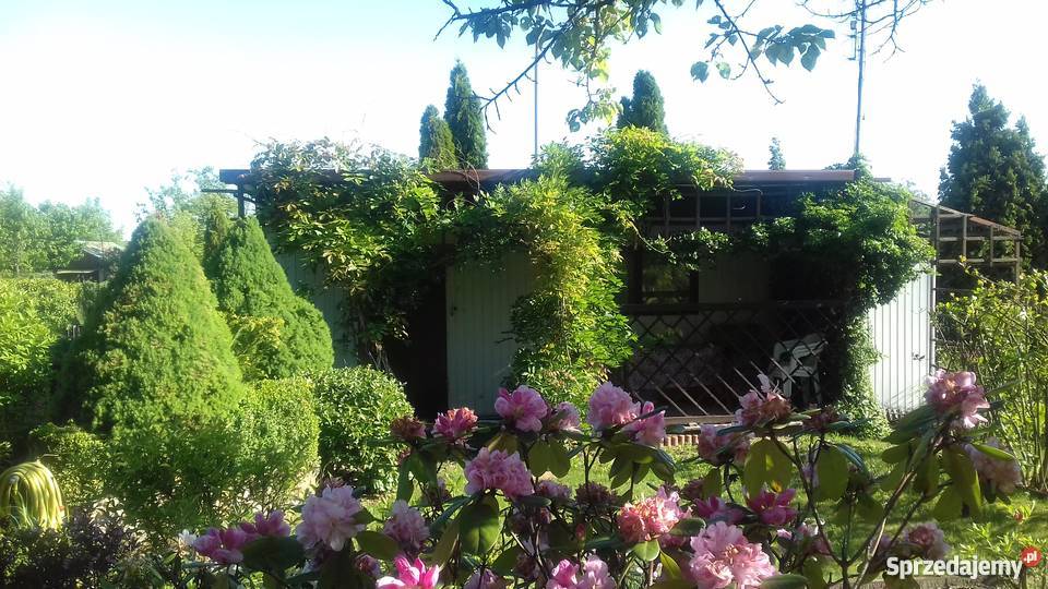 Sprzedam śliczną działkę rekreacyjną Częstochowa sprzedam