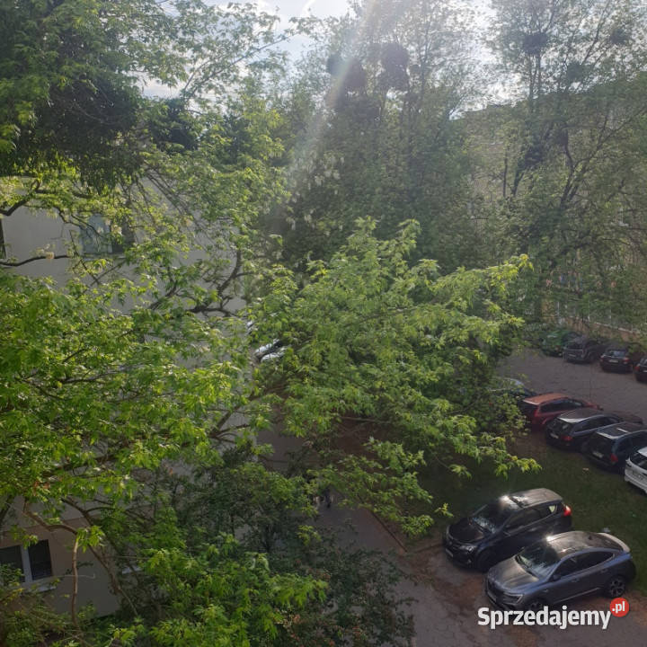 Wynajmę kawelerkę w blokuw centrum obok parku Łódź