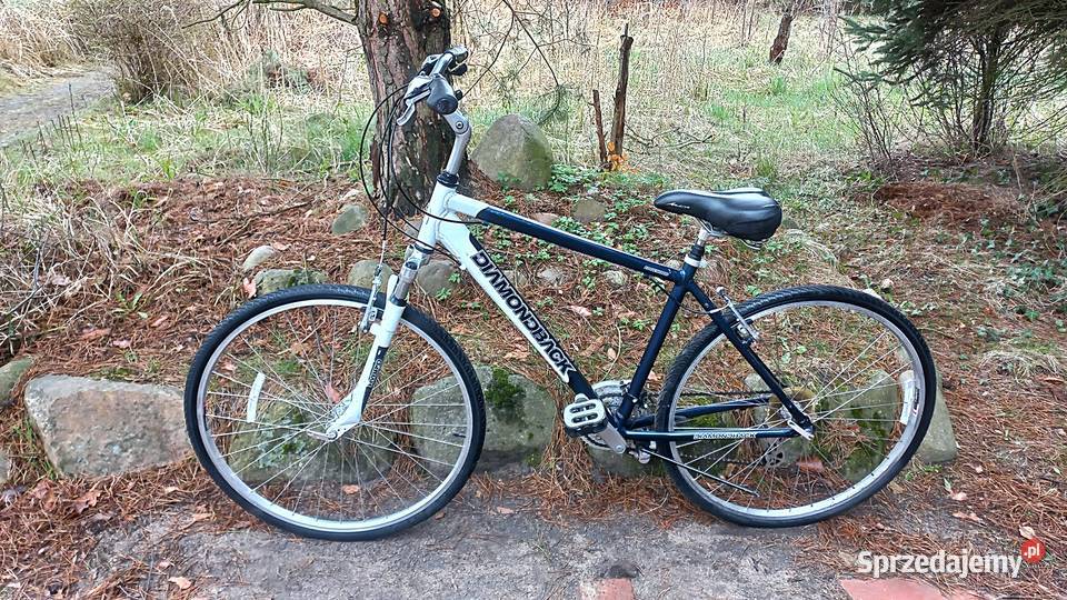 Alu Rower Miejski Cross Diamondback Edgewood 3x7 Wołów