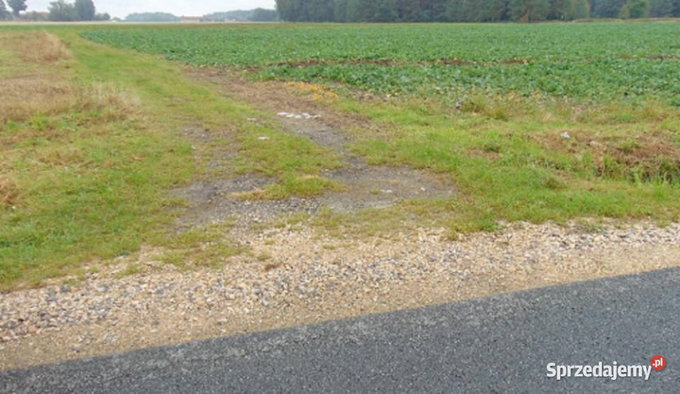 Syndyk sprzeda udział w działceŁubniany Sprzedaż opolskie