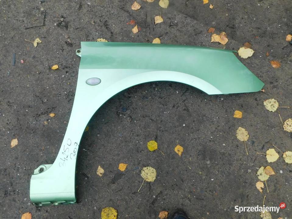 peugeot 307 błotnik 34250 WYSYŁKA osobowe Żory