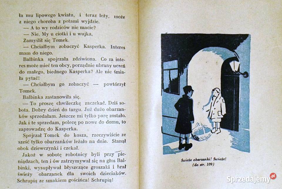 Zuchy Nowe przygody Tomka Modronia 1948 Ewa Chełm