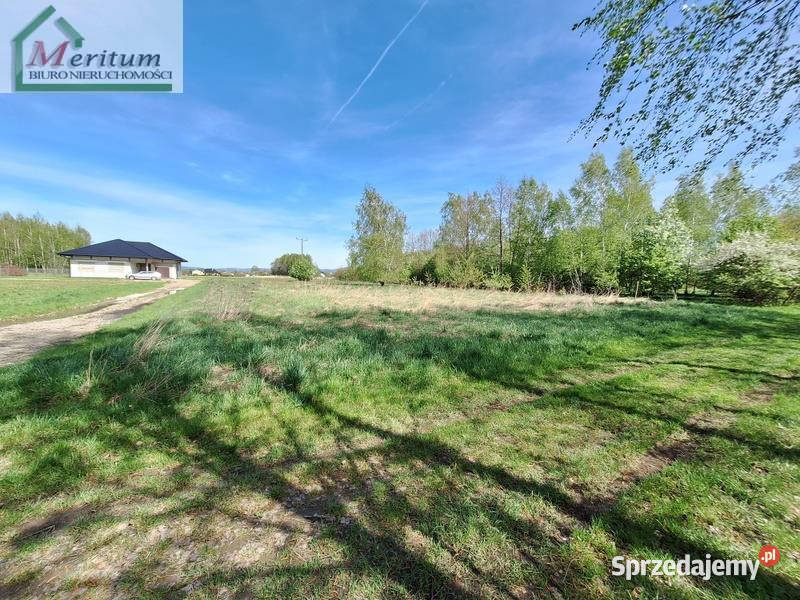 Grunt Świerzowa Polska 1462 metry telefon sprzedam