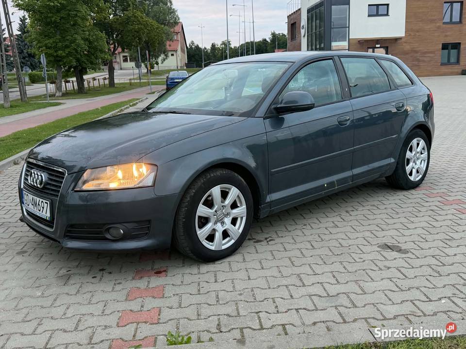 Audi A3 8P Sportback 19 TDI 105 2009r Diesel Malbork sprzedam