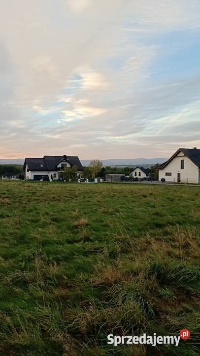 Działka budowlana Rząsiny gm Gryfów Śląski Sprzedaż sprzedam