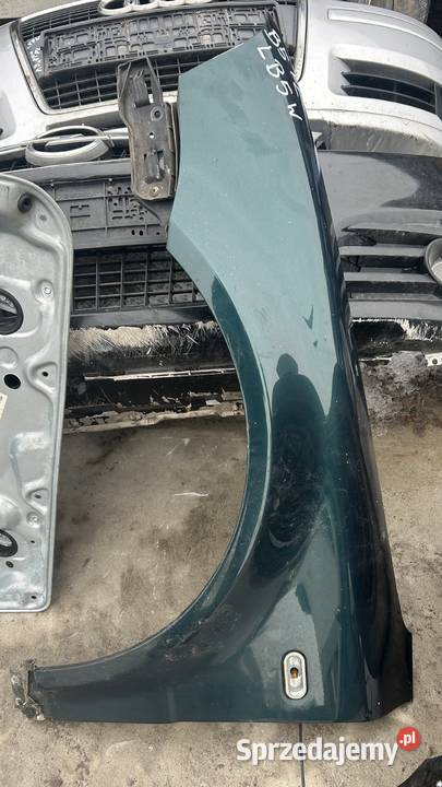 Błotnik błotniki lewy prawy Passat B5 FL świętokrzyskie Bodzentyn