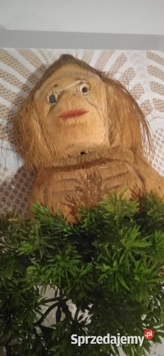 Stara rzeźba z kokosa dolnośląskie Świdnica