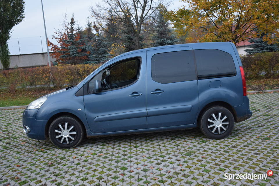 zamiana na osobowe dostawcze usługi budowlane Van / Minibus Poznań sprzedam