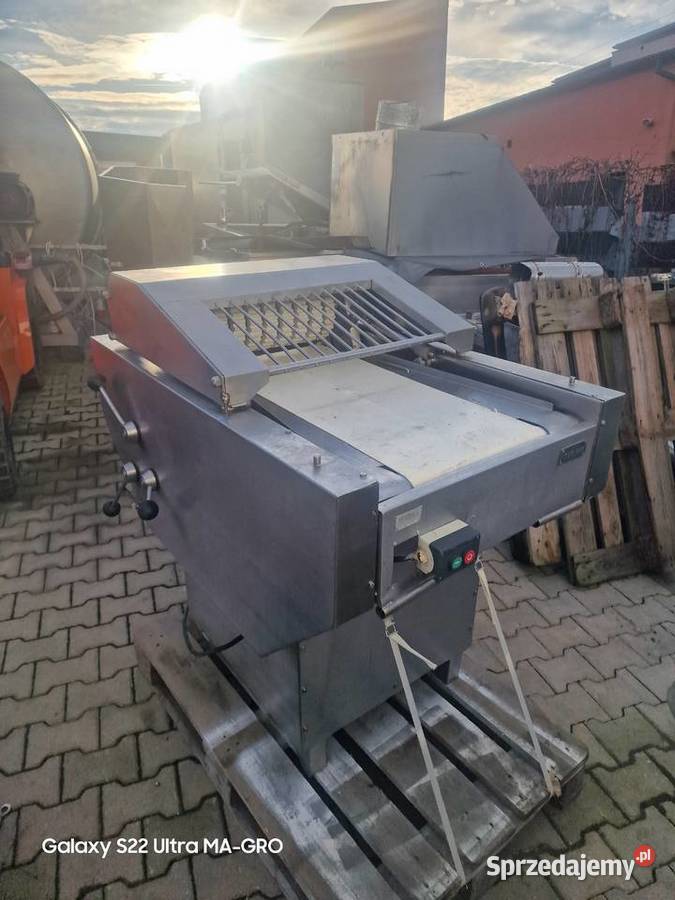 Skórowaczka Maja Dobieszowice