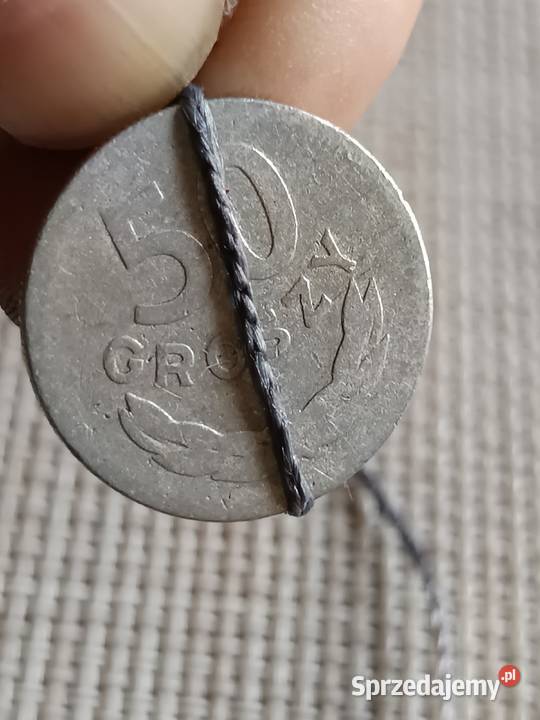 Sprzedam monetę 50 groszy 1949 skrętka lekka qqq Chełm