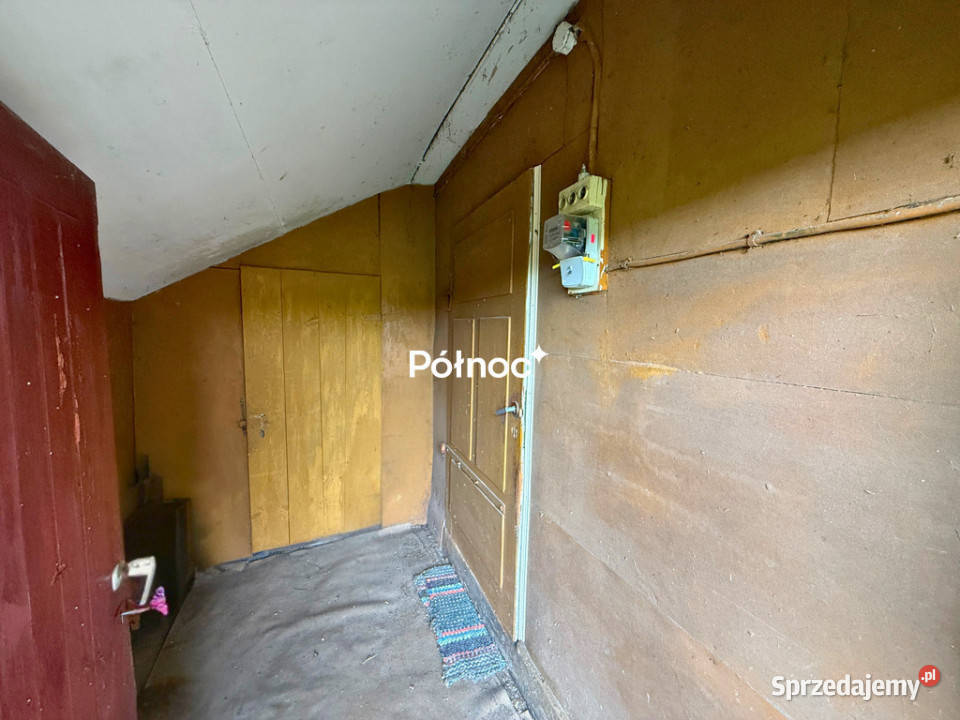 Siedlisko 11 ha w Kozłach Kozły