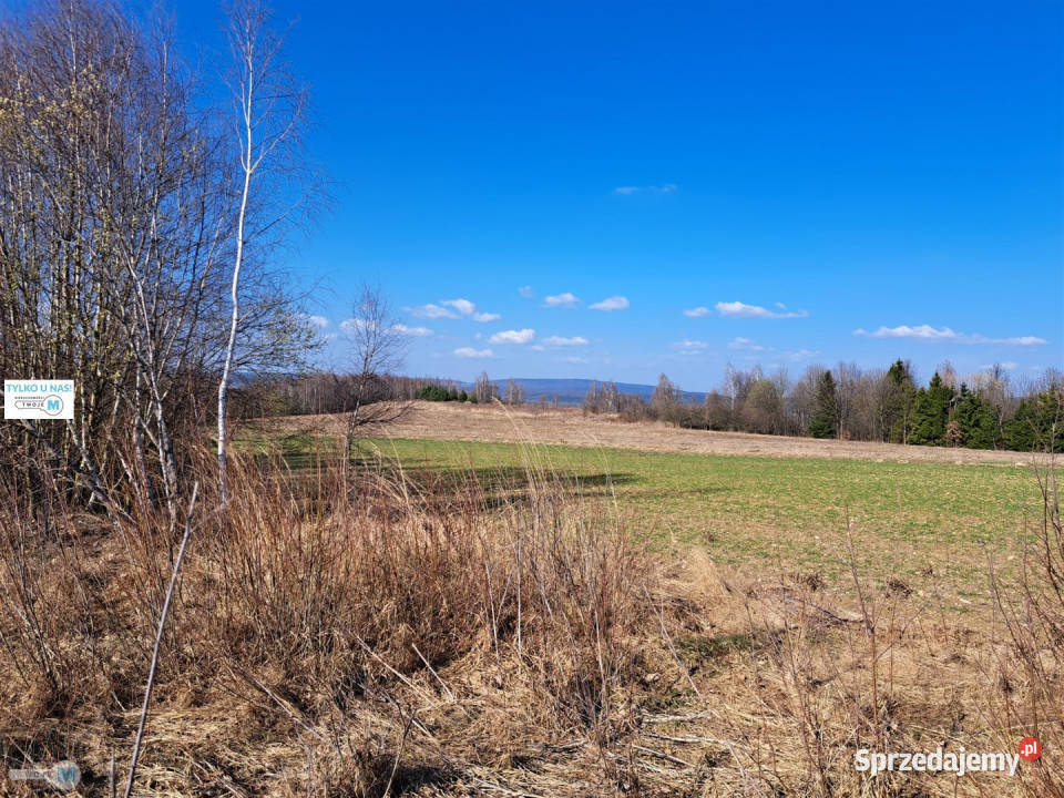 Działka Łagów 5974m2