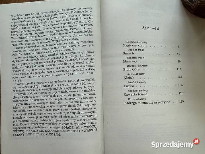 Wielkolud z jaskini piratow MTomaszewska ksiazka Książki dla dzieci Lublin