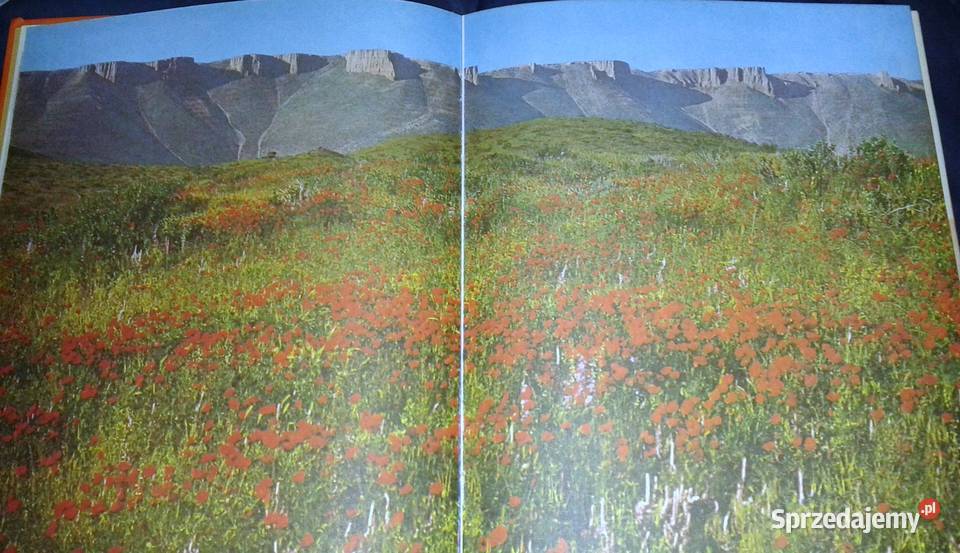 Świat tęczy Nikołaj Sładkow Chełm