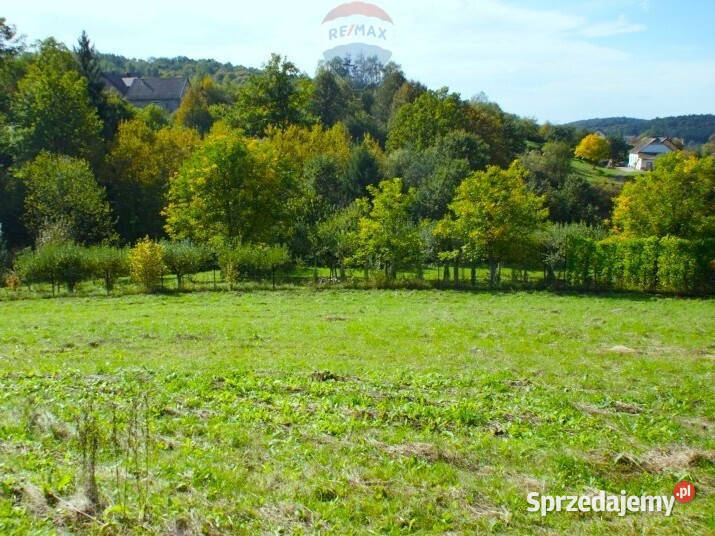 Działka 14 ha Włosań gmina Mogilany asfalt małopolskie