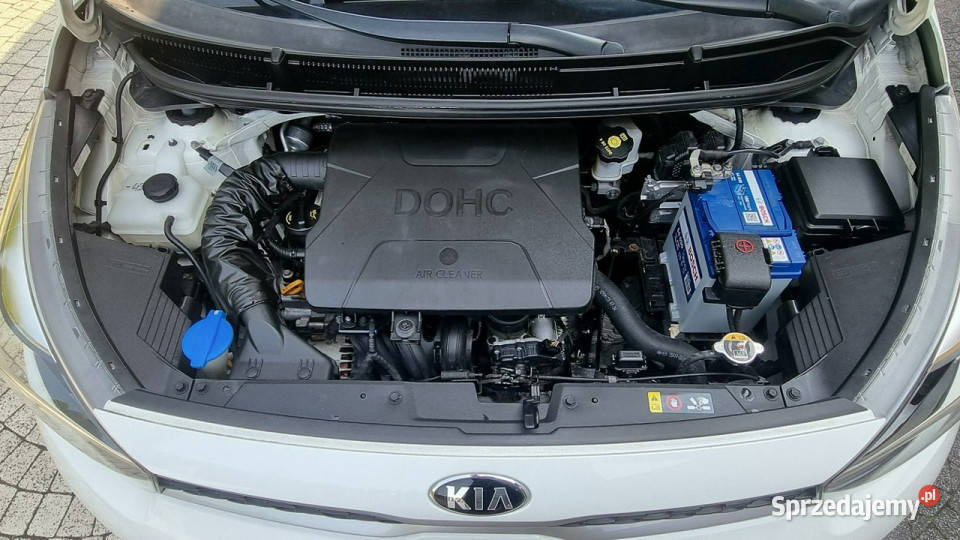 Kia Picanto Klima Niski Przebieg GWARANCJA Zakup