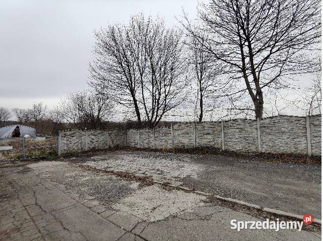 Syndyk sprzeda udział 12 w nieruchomości Bytom