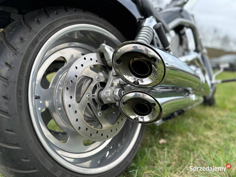 Harley Davidson Vrod Sulechów