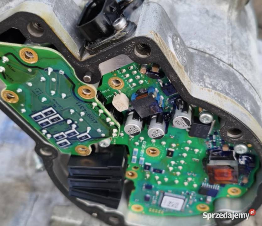 Chiptuning Adblue off Diagnostyka Immo off Drzewica