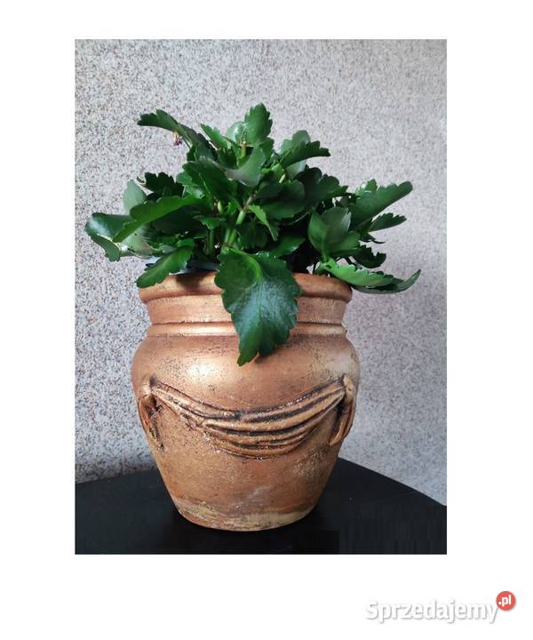 ceramika kamionka dzban donica włoska misa świętokrzyskie Kielce