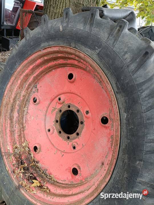 Koło MTZ 13638 kujawsko-pomorskie Włocławek