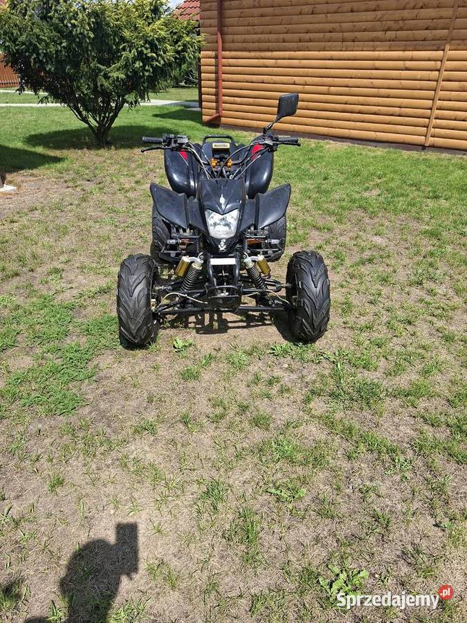 Bashan 200 Wierzbin sprzedam