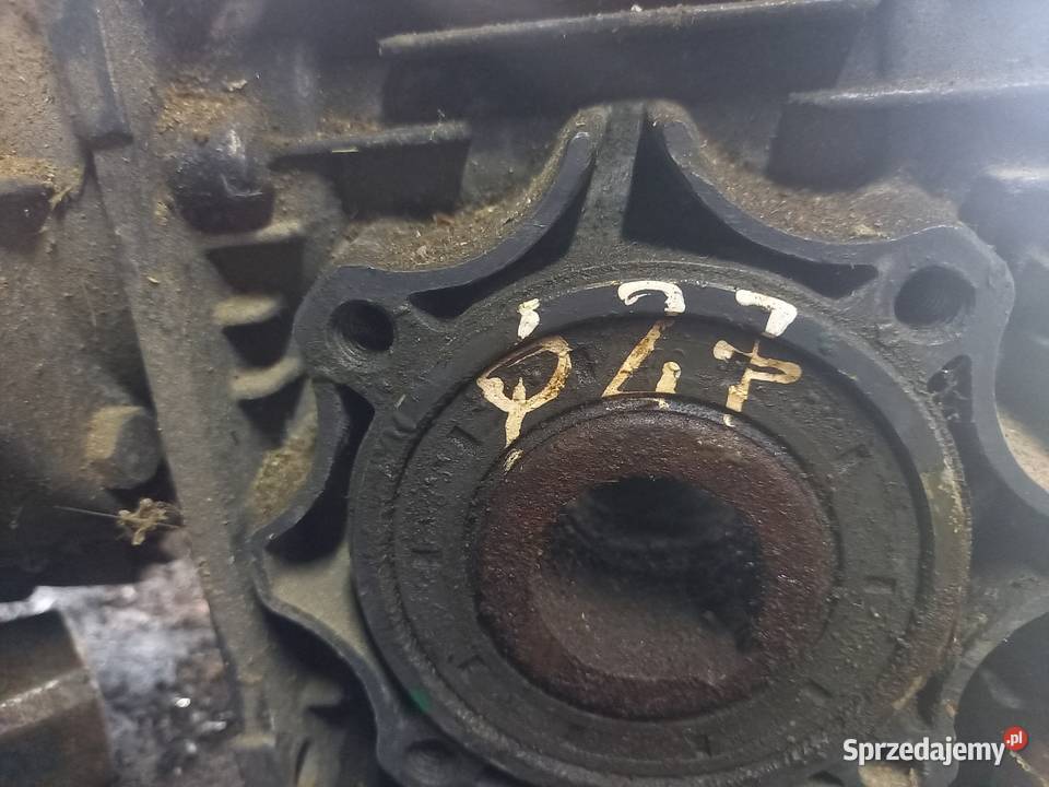 Nacinaki taśmociong Strzelno