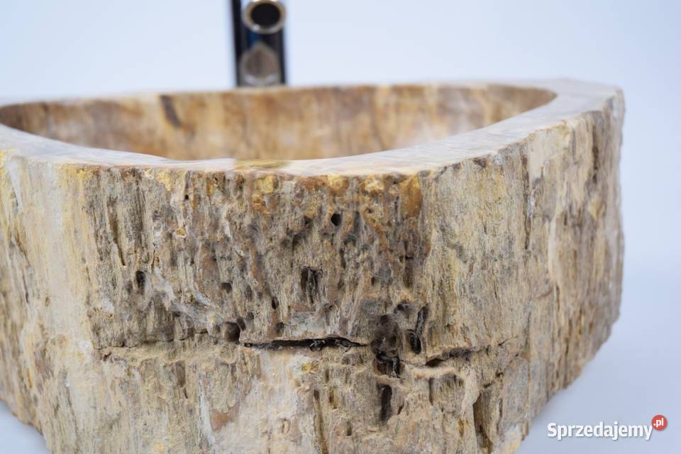 Fossil Wood SMALL SALAWATI SW31 kamienna Gdynia