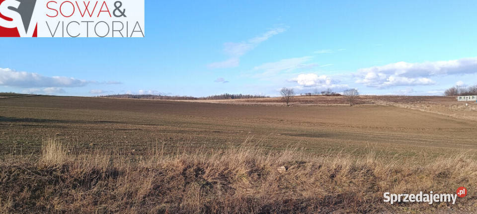 Słoneczna działka w doskonałej lokalizacji Stare Bogaczowice