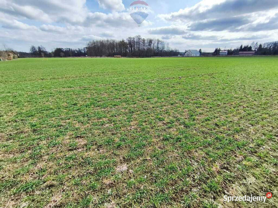 Działka budowlana w pobliżu Płocka