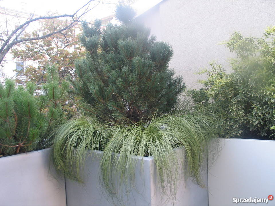 Donice lekka donica duża donica na wymiar