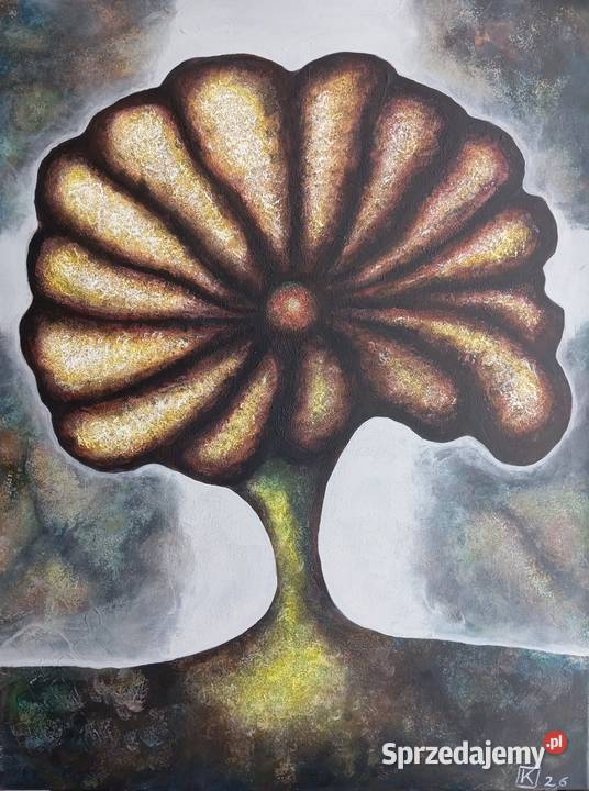 T Kawala Obraz akrylowy 60x80 Ostrów Wielkopolski