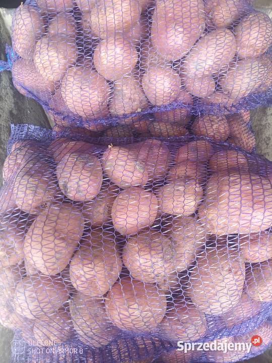 Sprzedam ziemniaki jadalne Zalesie Gorzyckie sprzedam