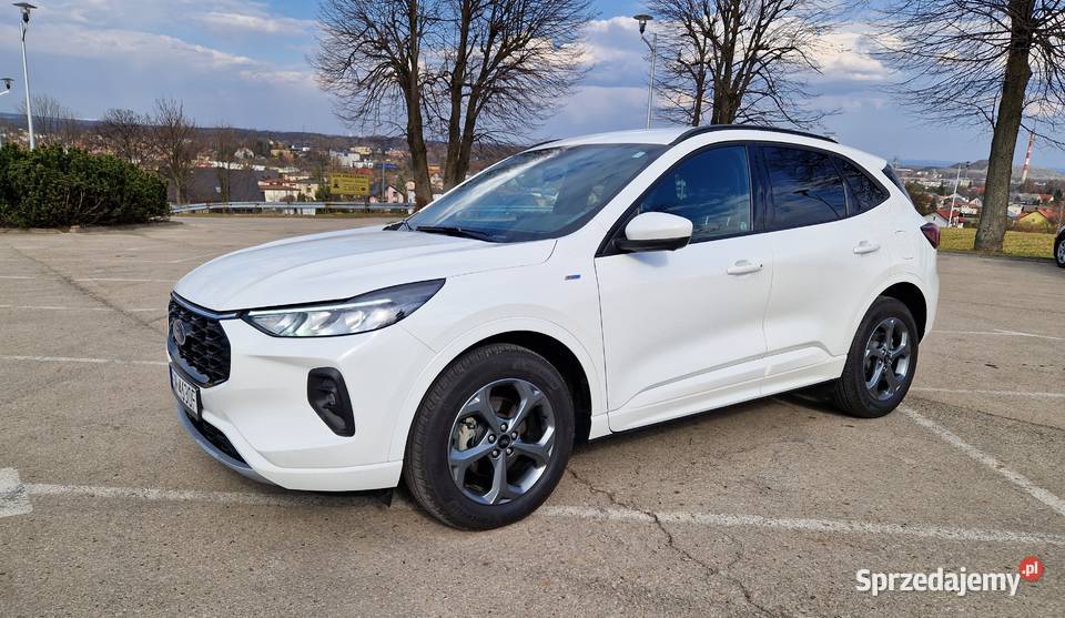 Ford Escape Kuga 20 benzyna 252 automat STLine 252KM Katowice